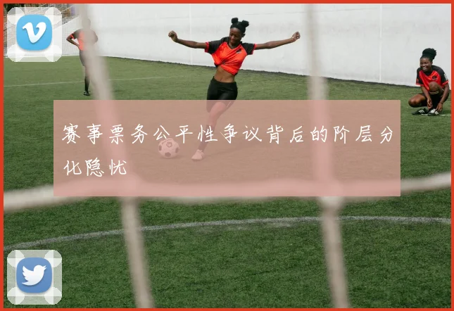赛事票务公平性争议背后的阶层分化隐忧