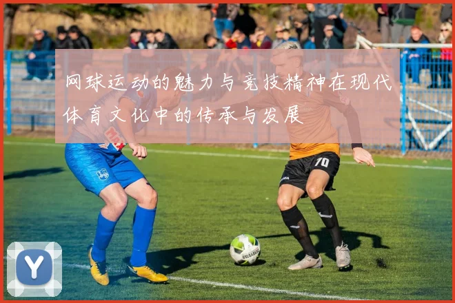 网球运动的魅力与竞技精神在现代体育文化中的传承与发展