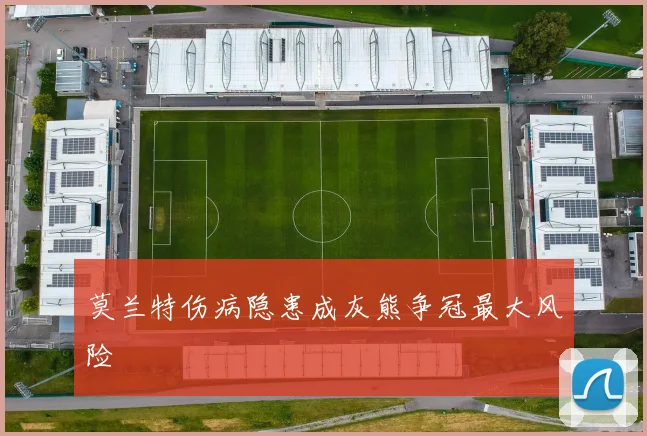 莫兰特伤病隐患成灰熊争冠最大风险