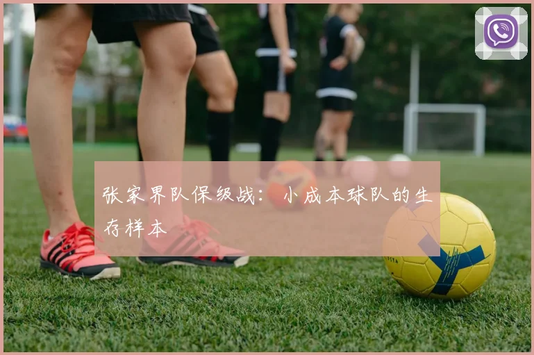 张家界队保级战：小成本球队的生存样本