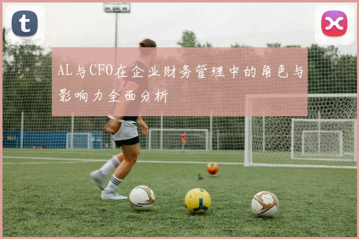 AL与CFO在企业财务管理中的角色与影响力全面分析