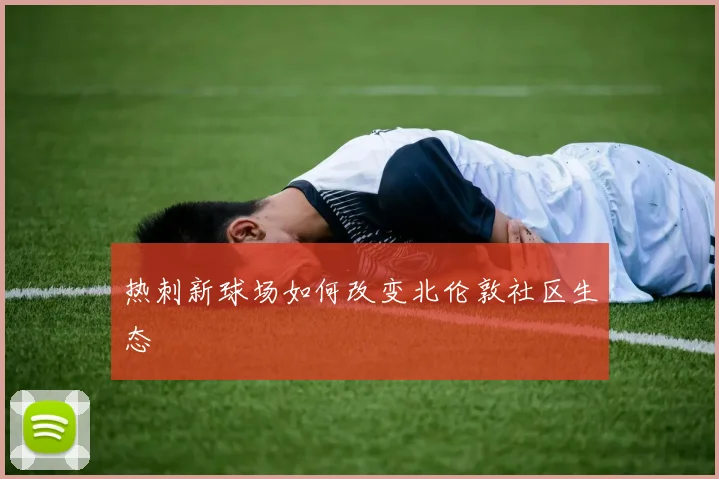 热刺新球场如何改变北伦敦社区生态