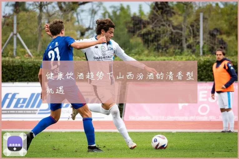 健康饮酒趋势下山西汾酒的清香型机遇